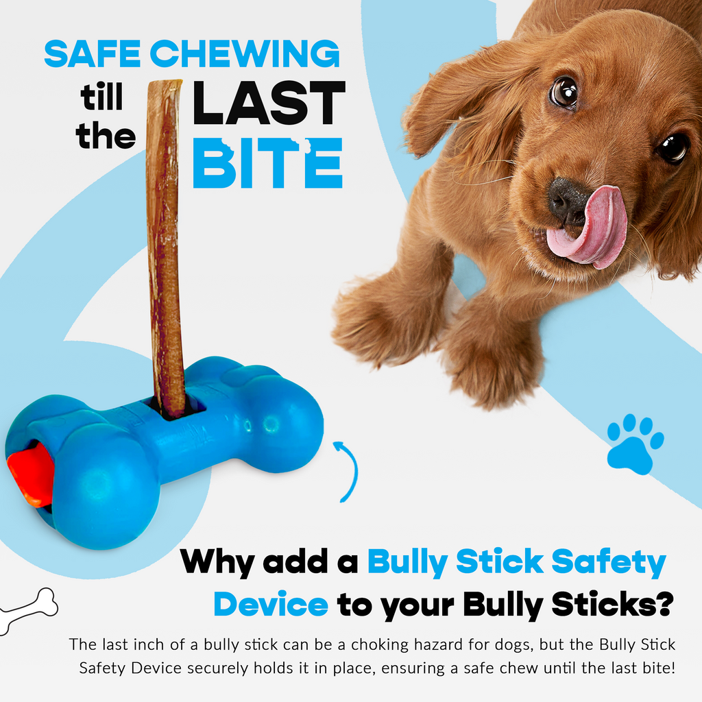 7" Thick Bully Sticks - Bully Bone Included