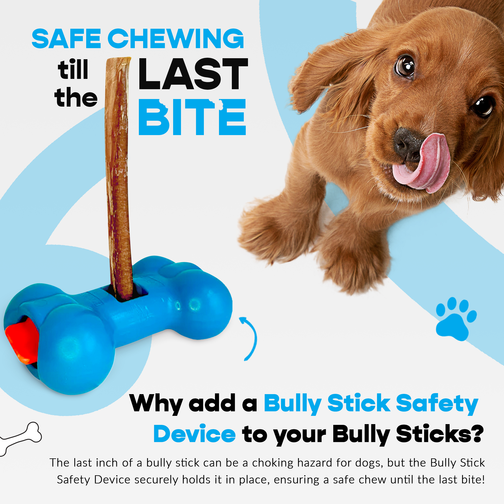 7" Thick Bully Sticks - Bully Bone Included