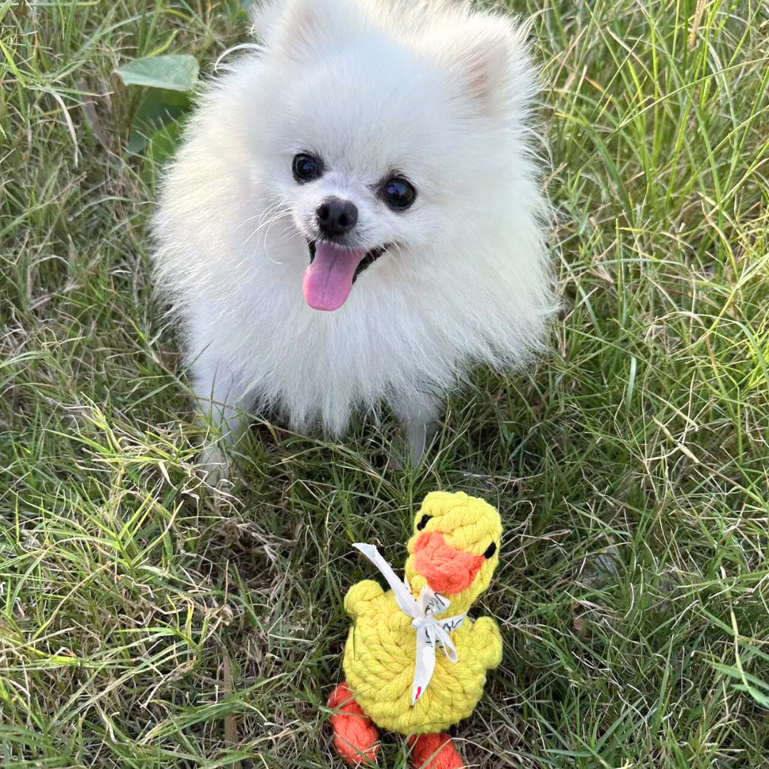 Sunny the Yellow Duck Rope Toy