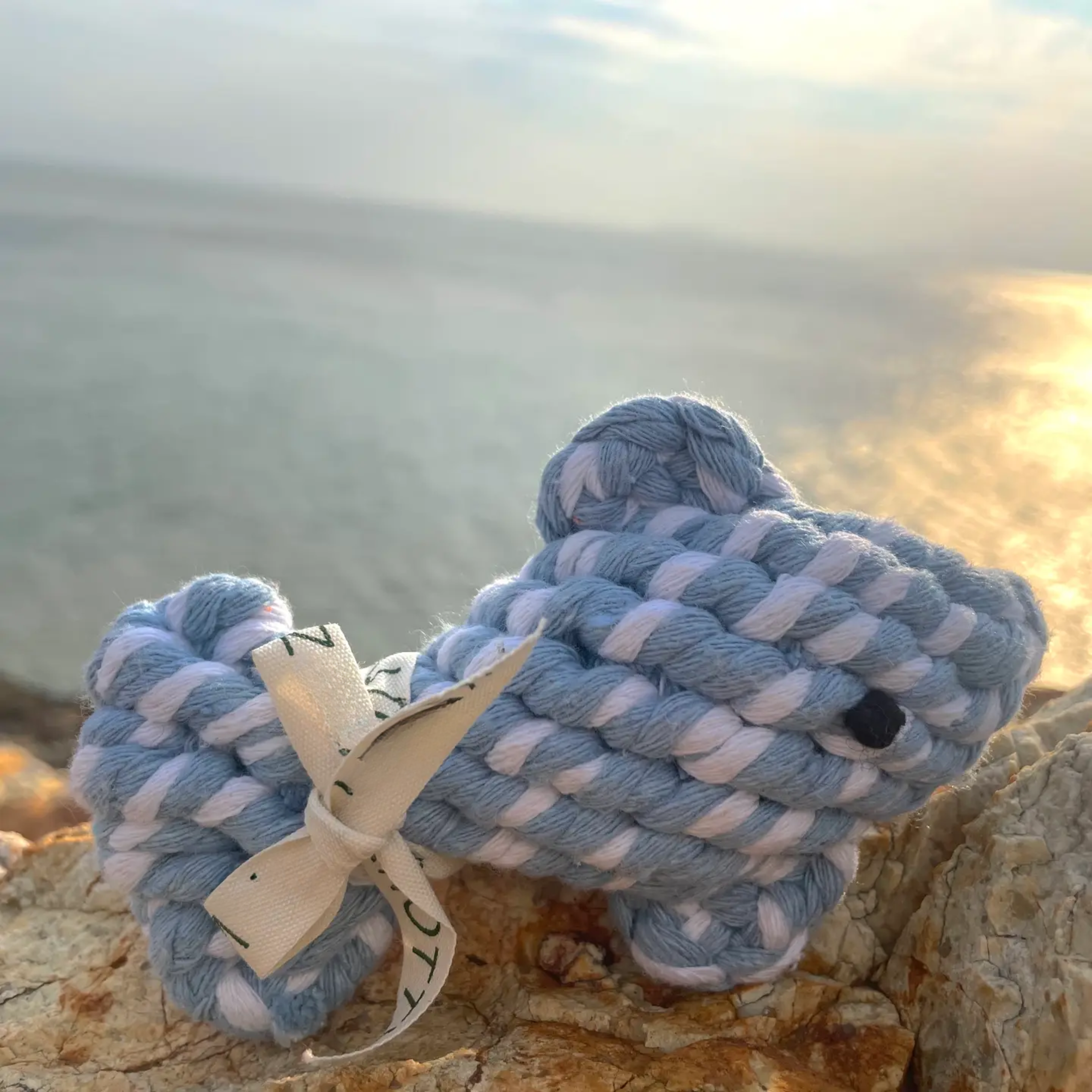 April the Happy Fish Pet Rope Toys